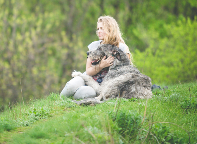 Gourmet Delight – Big dog life with an Irish wolfhound